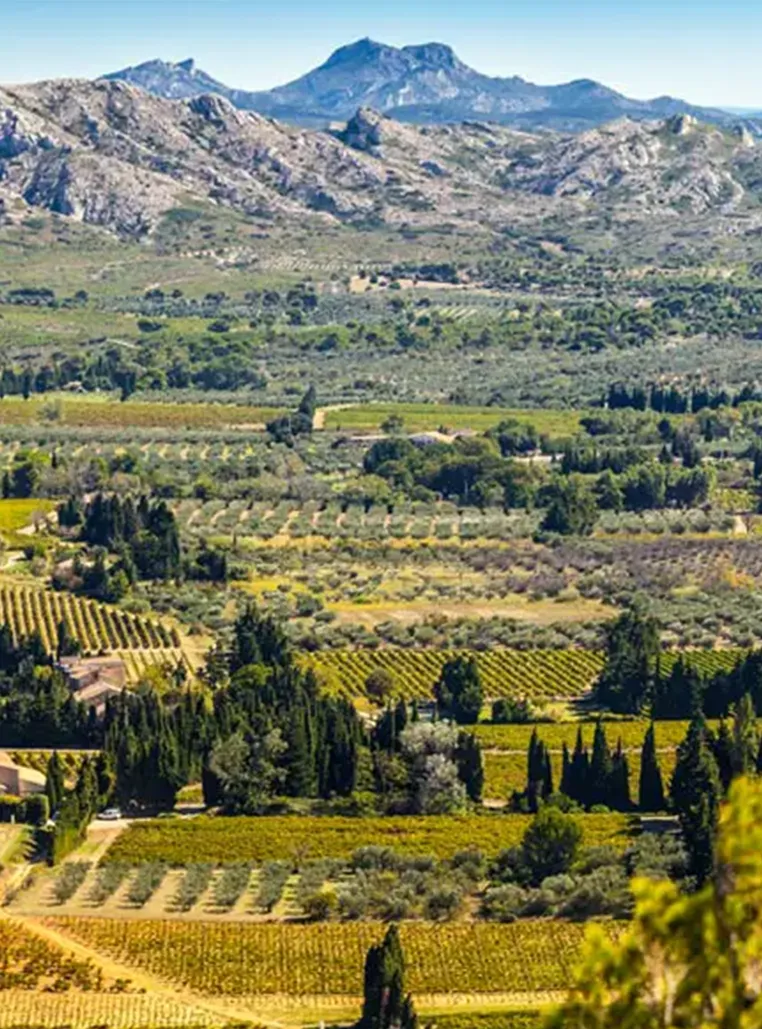 saveur-provence-alpilles-2