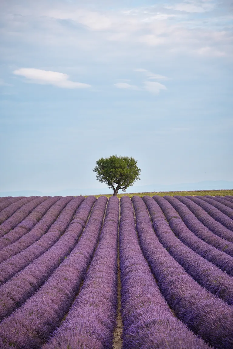 saveur-provence-luberon-1